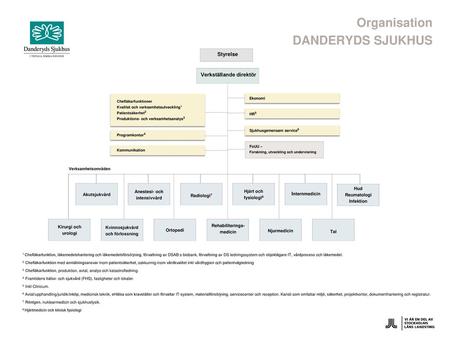 Verkställande direktör