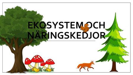 Ekosystem och näringskedjor