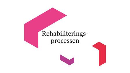 Rehabiliterings-processen