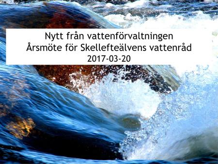 Nytt från vattenförvaltningen Årsmöte för Skellefteälvens vattenråd