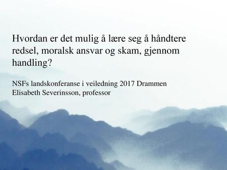 NSFs landskonferanse i veiledning 2017 Drammen