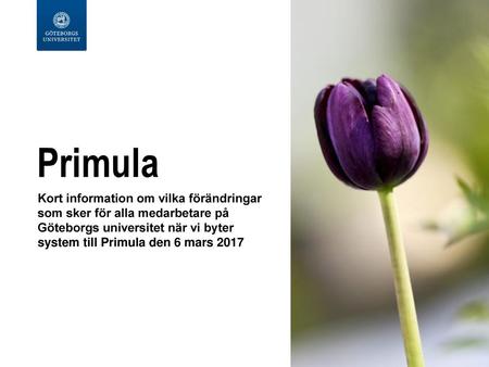 Primula Kort information om vilka förändringar som sker för alla medarbetare på Göteborgs universitet när vi byter system till Primula den 6 mars 2017.