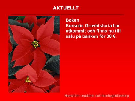 AKTUELLT Boken Korsnäs Gruvhistoria har utkommit och finns nu till salu på banken för 30 €. Harrström ungdoms och hembygdsförening.