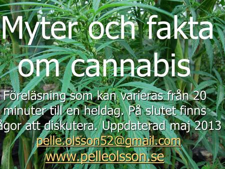 Myter och fakta om cannabis