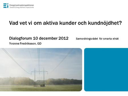 Vad vet vi om aktiva kunder och kundnöjdhet? Dialogforum 10 december 2012 Samordningsrådet för smarta elnät Yvonne Fredriksson, GD.