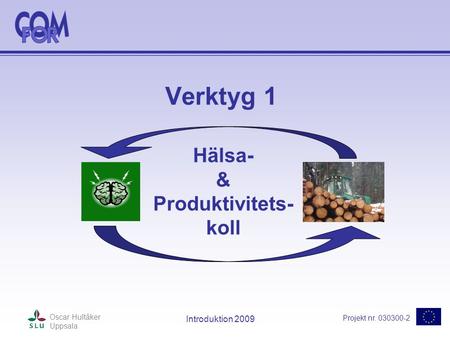 Projekt nr. 030300-2 Oscar Hultåker Uppsala Introduktion 2009 Verktyg 1 Hälsa- & Produktivitets- koll.