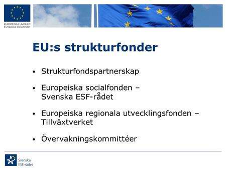 EU:s strukturfonder Strukturfondspartnerskap
