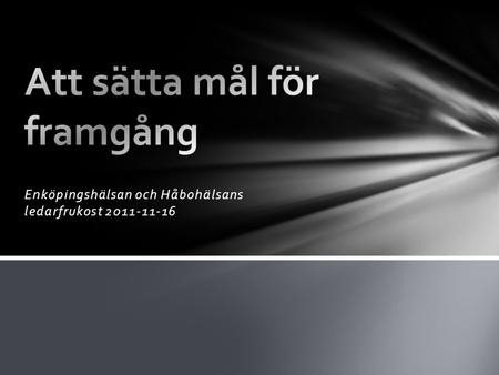 Enköpingshälsan och Håbohälsans ledarfrukost 2011-11-16.