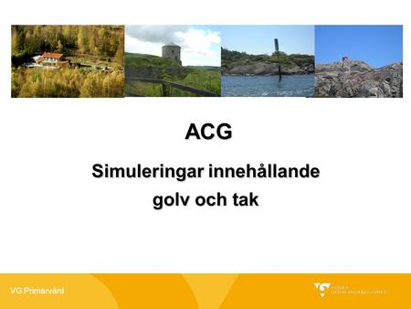 VG Primärvård ACG ACG Simuleringar innehållande golv och tak.