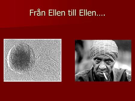 Från Ellen till Ellen…..