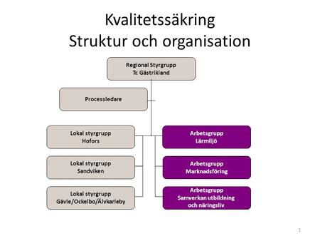 Kvalitetssäkring Struktur och organisation