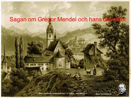 Sagan om Gregor Mendel och hans blommor
