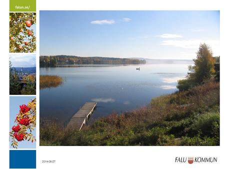 2014-06-27. Vikasjön i Falu kommun 2014-06-27 Varför Vikasjön? • Mot slutet av 1970-talet försämrades vattenkvaliteten i Vikasjön påtagligt – vattnet.