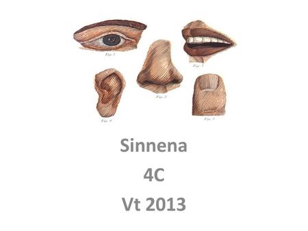 Sinnena 4C Vt 2013.