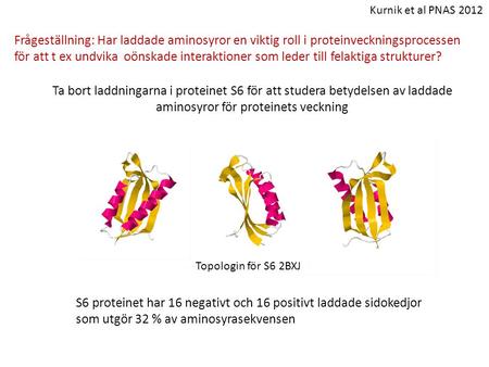 Kurnik et al PNAS 2012 Frågeställning: Har laddade aminosyror en viktig roll i proteinveckningsprocessen för att t ex undvika oönskade interaktioner som.