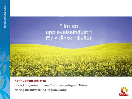 Film en upplevelseindustri för skånsk tillväxt