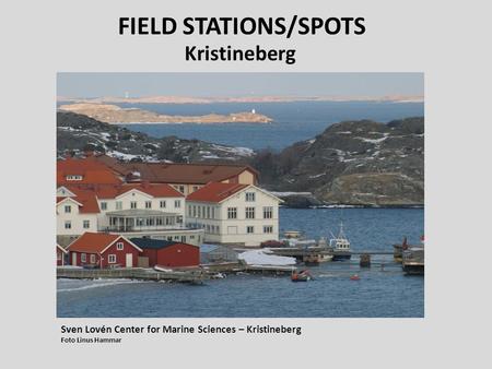 FIELD STATIONS/SPOTS Kristineberg