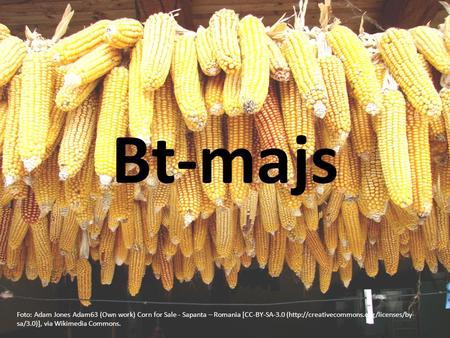 Bt-majs Inte om majs, men Glöm inte denna länk på webben:
