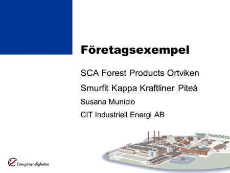 Företagsexempel SCA Forest Products Ortviken