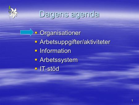 Dagens agenda Organisationer Arbetsuppgifter/aktiviteter Information