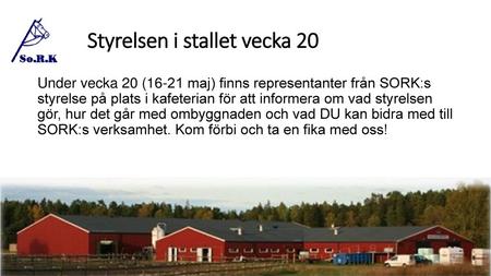 Styrelsen i stallet vecka 20