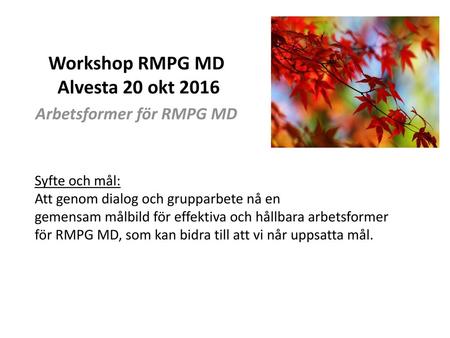Workshop RMPG MD Alvesta 20 okt 2016 Arbetsformer för RMPG MD