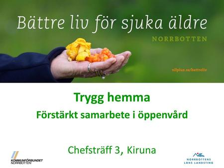 Trygg hemma Förstärkt samarbete i öppenvård Chefsträff 3, Kiruna
