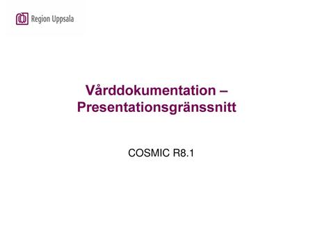 Vårddokumentation – Presentationsgränssnitt