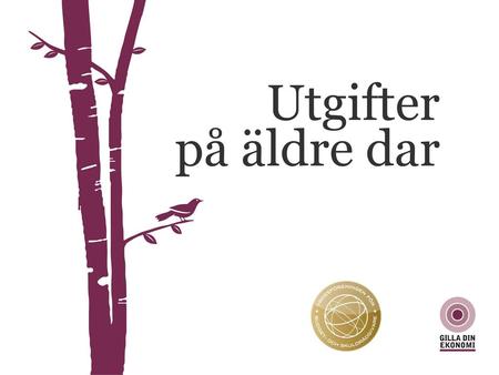 Utgifter på äldre dar.