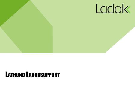 Lathund Ladoksupport.