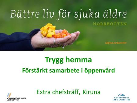 Trygg hemma Förstärkt samarbete i öppenvård Extra chefsträff, Kiruna