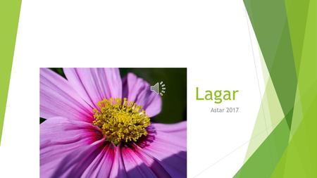 Lagar Astar 2017.