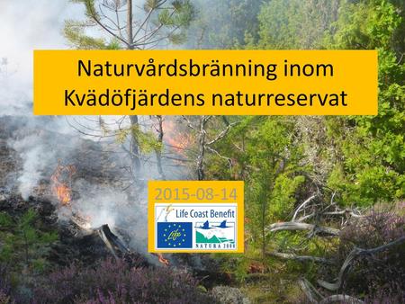 Naturvårdsbränning inom Kvädöfjärdens naturreservat