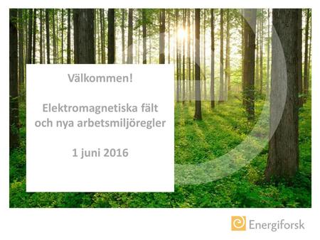 Agenda 9.30 Introduktion  Energiforsks omvärldsbevakning inom elektromagnetiska fält Björn Cedervall, Vattenfall Myndighetens mätningar och ställningstaganden,