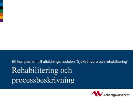 Rehabilitering och processbeskrivning