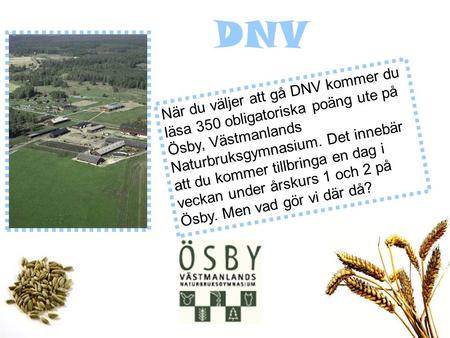 När du väljer att gå DNV kommer du läsa 350 obligatoriska poäng ute på Ösby, Västmanlands Naturbruksgymnasium. Det innebär att du kommer tillbringa en.