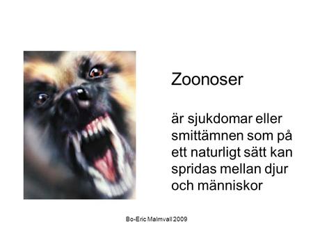 Zoonoser är sjukdomar eller smittämnen som på ett naturligt sätt kan spridas mellan djur och människor Bo-Eric Malmvall 2009.