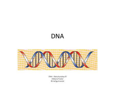 DNA DNA – Naturkunskap B Aldijana Puskar Brinellgymnasiet.