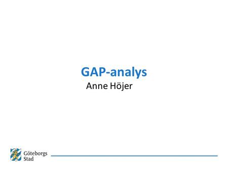 GAP-analys Anne Höjer.