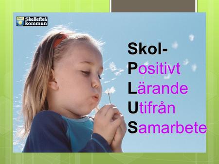 SkolPlus 2010- 2012 Skol- Positivt Lärande Utifrån Samarbete.
