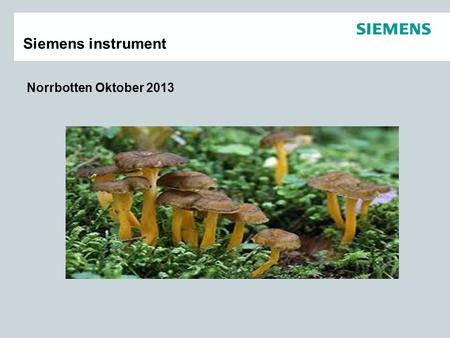 Siemens instrument Norrbotten Oktober 2013.