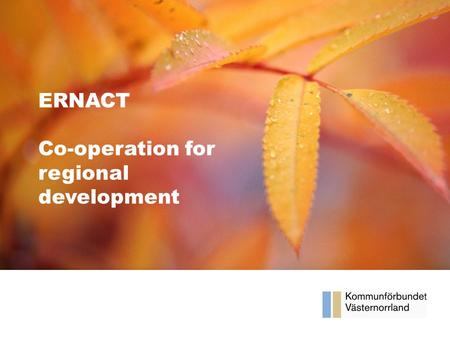 Våra framsteg Halvårsrapport 2012 ERNACT Co-operation for regional development.