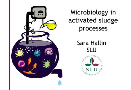 Microbiology in activated sludge
