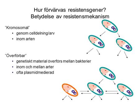 Hur förvärvas resistensgener? Betydelse av resistensmekanism