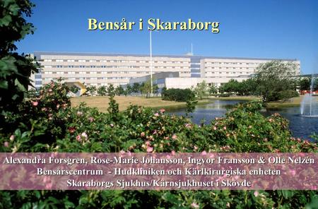 Bensår i Skaraborg Alexandra Forsgren, Rose-Marie Johansson, Ingvor Fransson & Olle Nelzén Bensårscentrum - Hudkliniken och Kärlkirurgiska enheten Skaraborgs.