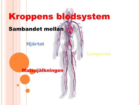 Kroppens blodsystem Sambandet mellan Hjärtat Lungorna Matspjälkningen.
