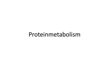 Proteinmetabolism.