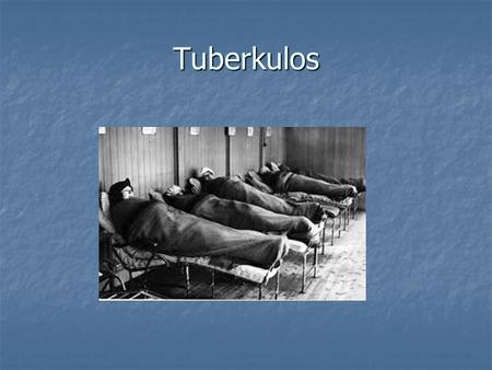 Tuberkulos.