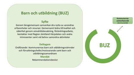 Barn och utbildning (BUZ)