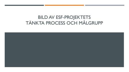 Bild av esf-projektets tänkta process och målgrupp